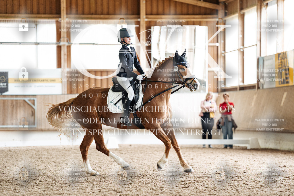 CK900832 | Turnierfotografie Pferdefotografie Trier Rheinland-Pfalz Pferdesport Reitsport Tierfotografie Sportfotografie Pferdevideo Pferdevideografie Equestrianvideography equestrianphotography  - Realisiert mit Pictrs.com