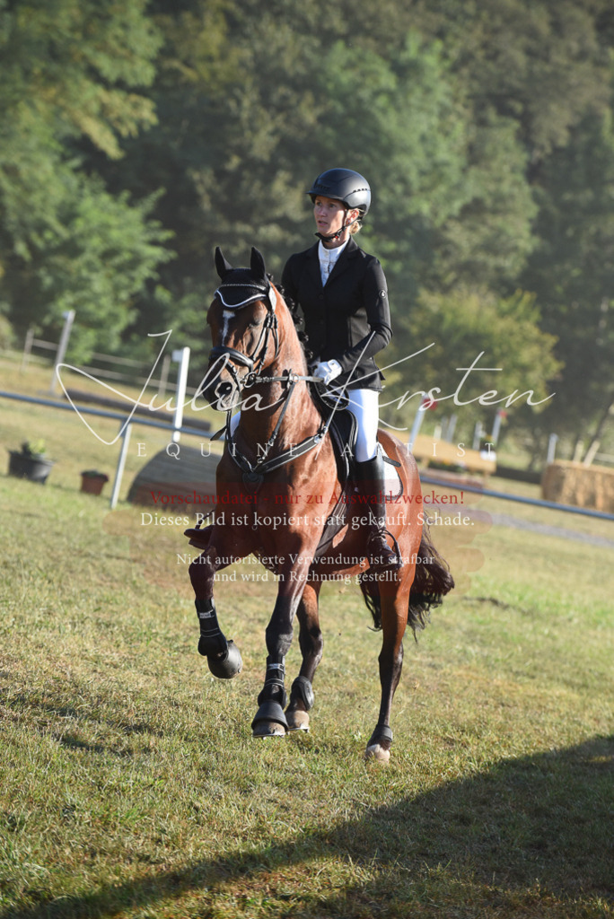 DSC_4934 | Pferde- und Turnierfotografie in Westsachsen. Pferdeportraits, Auftragszeichnungen und intuitive Kunst.