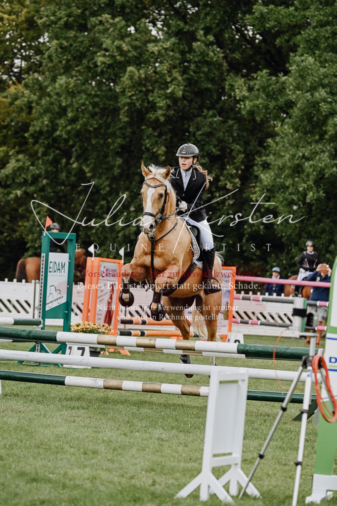 DSC_6890 | Pferde- und Turnierfotografie in Westsachsen. Pferdeportraits, Auftragszeichnungen und intuitive Kunst.