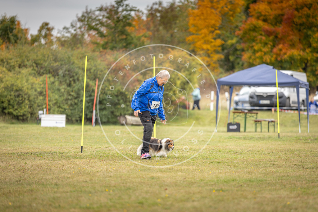 Pfotenfotografie_DV3A5333 | Hundefotografie, Tierfotograf, Pfotenfotografie, Fotoshooting Hund, Hunde Portrait, Hundesport, Hundeportraits, Heideshooting, Hunde, Sportfotograf, Hundefotograf, Turnierhundsport, THS,  - Realisiert mit Pictrs.com