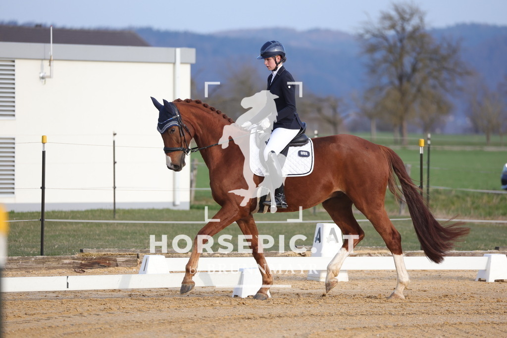 0P6A5914 | Willkommen bei Brunnmayr - Design & Fotografie – Ihrem Spezialisten für Reitturniere und Pferdeveranstaltungen in Oberösterreich, Salzburg und Bayern! Seit über 17 Jahren sind wir leidenschaftlich dabei.