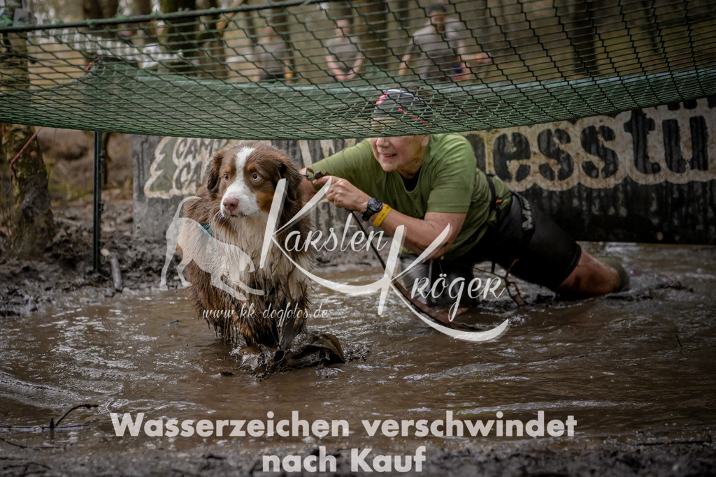 0953_ZZ98540 | kk-dogfotos