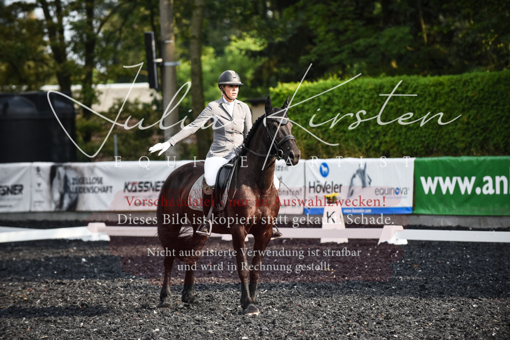 DSC_3303 | Pferde- und Turnierfotografie in Westsachsen. Pferdeportraits, Auftragszeichnungen und intuitive Kunst.