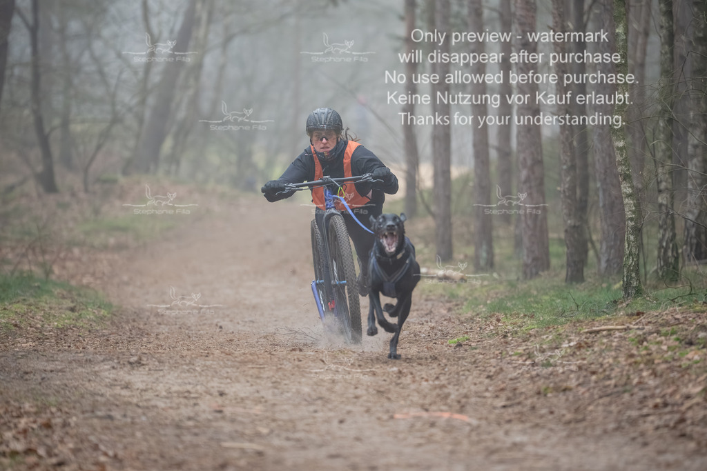 Scooter1-13 | stephaniefillaphotographie - Realisiert mit Pictrs.com