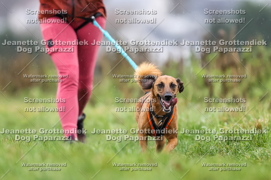Dog Paparazzi - Herkules Race  2025-65 | Dog Paparazzi Jeanette Grottendiek Fotografie & Videografie