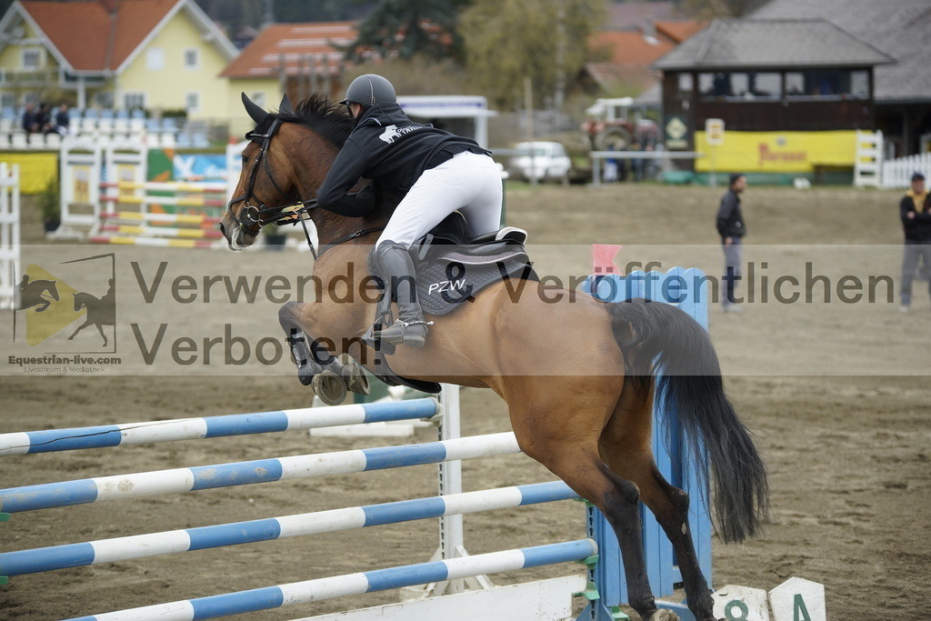 _DSC7359 | equestrian-live-com