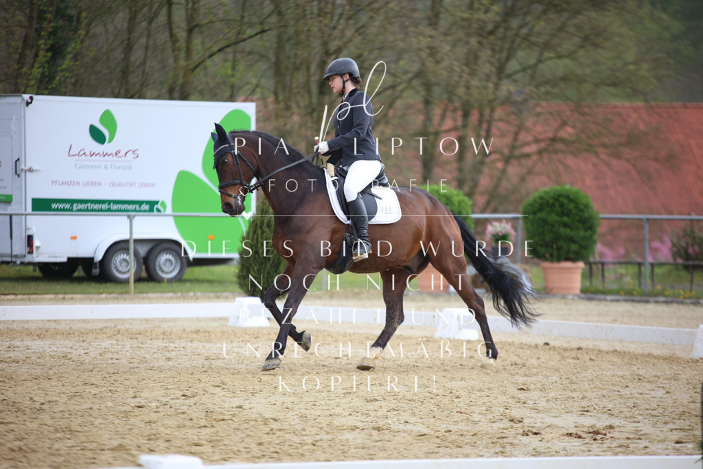 IMGT7234 | pl-fotografie