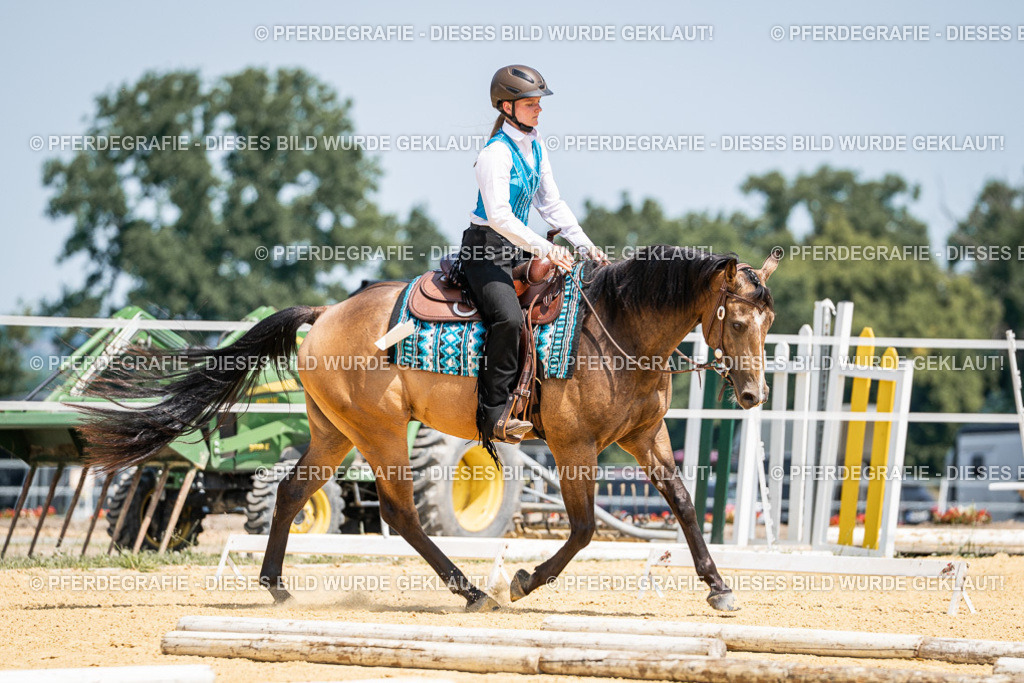 DSC00995 | Pferdegrafie