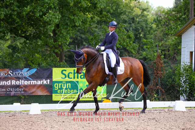 DKP41446 | Turnierfotos kaufen im Webshop von Daniel Kuhl Photography – entdecke professionelle Reitsportfotos aus Turnieren & Events. Hochwertige Turnierbilder online bestellen & sichern. Jetzt Fotos von Reitsportturnieren kaufen!