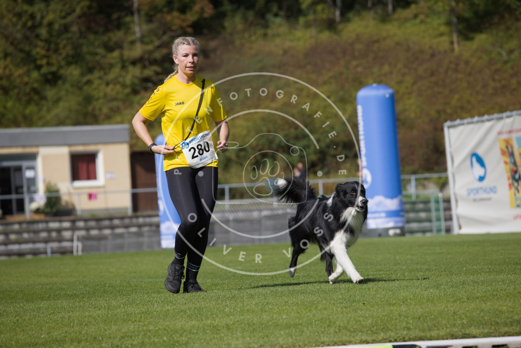 0L8A2503 | Hundefotografie, Tierfotograf, Pfotenfotografie, Fotoshooting Hund, Hunde Portrait, Hundesport, Hundeportraits, Heideshooting, Hunde, Sportfotograf, Hundefotograf, Turnierhundsport, THS,  - Realisiert mit Pictrs.com