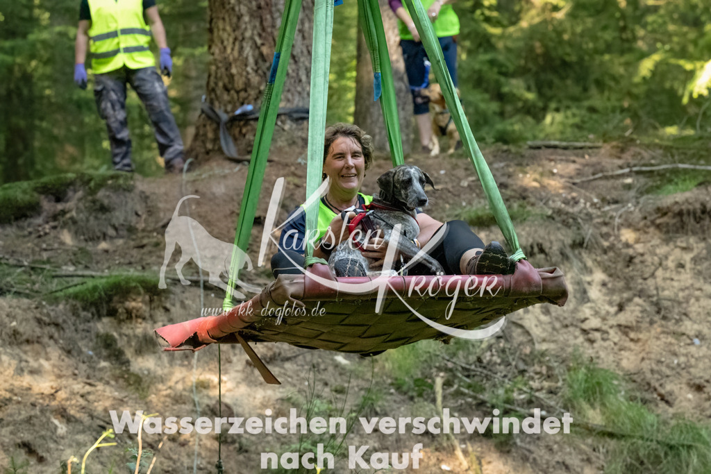 1407_ZZ94517-Bearbeitet-3 | kk-dogfotos