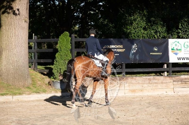 2B4A0813 | pixelfaenger - Realisiert mit Pictrs.com