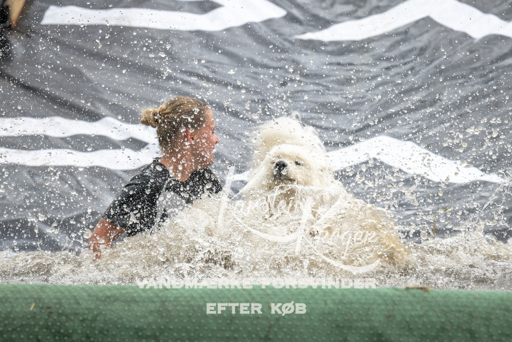 1412_ZZ94734 | kk-dogfotos