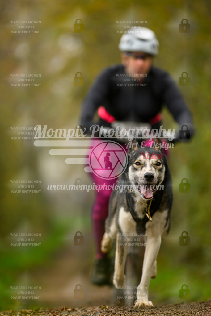 MompixPhotography_20TSB_E6_Bike-150 | PayLife