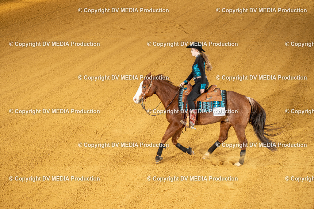 MIT00797 | dv-media-shop - Realisiert mit Pictrs.com