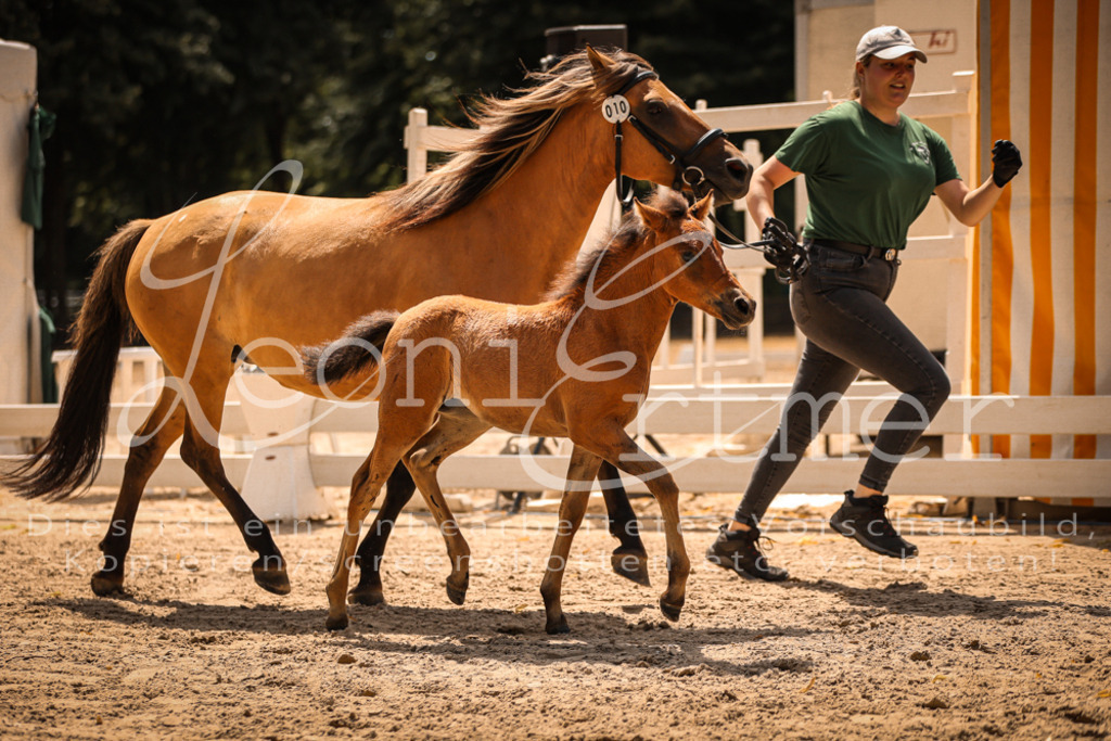 02.DoSR00109 | Leoni Ertmer Photography - Realisiert mit Pictrs.com