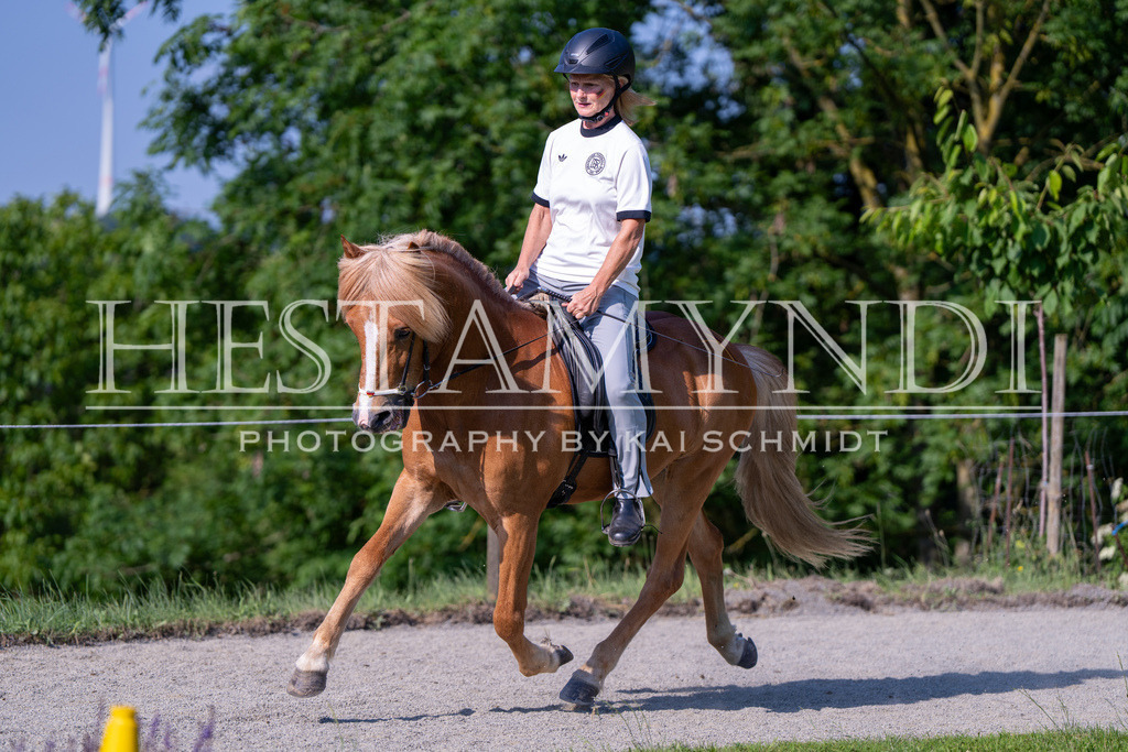 KAI07114 | Ihr sucht einen Fotografen für eure nächste OSI? Ich begleite auch euer Turnier für Islandpferde fotografisch.  - Realisiert mit Pictrs.com