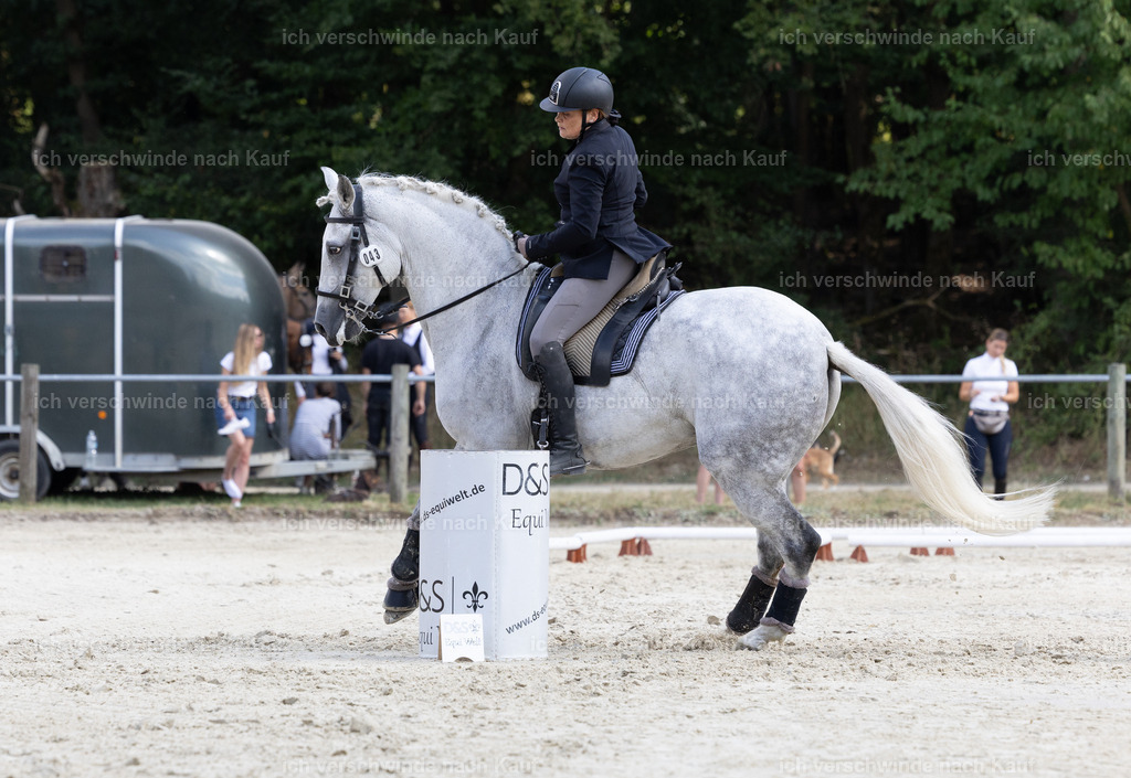 WS_SPEED_43_KerstinBernhardt-12 | working equitationturnier fotograf videograf stoibphotography marixx film working equitation deutschland reitsport turnierfotografie eventfotografie equestrian events