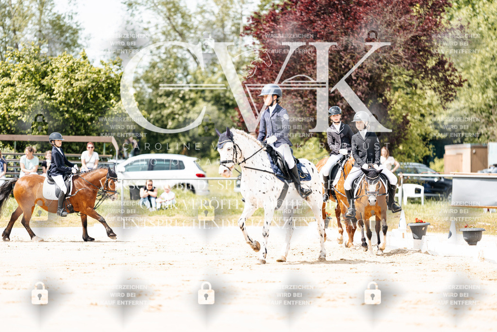 CK901723 | Turnierfotografie Pferdefotografie Trier Rheinland-Pfalz Pferdesport Reitsport Tierfotografie Sportfotografie Pferdevideo Pferdevideografie Equestrianvideography equestrianphotography  - Realisiert mit Pictrs.com