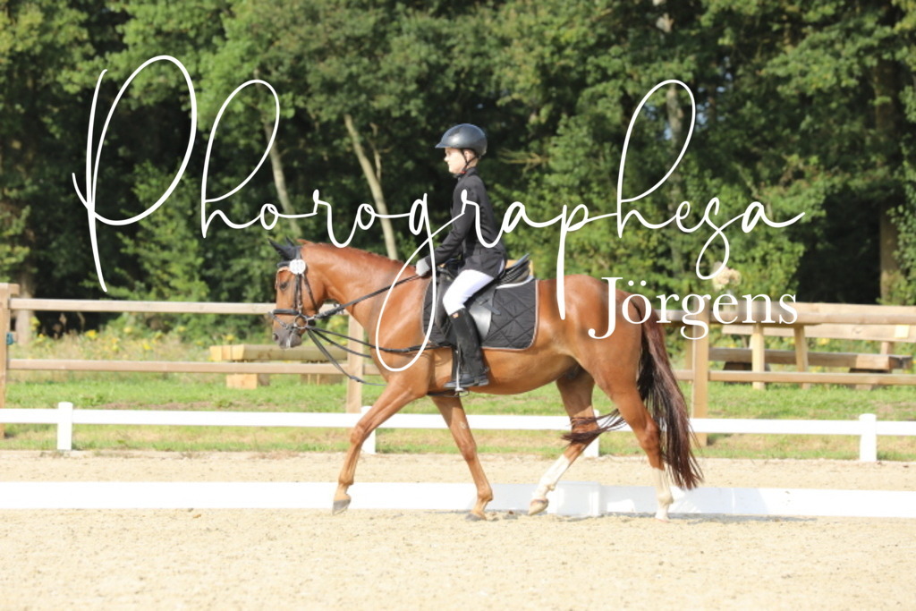 IMG_4483 | photographesa-joergens - Realisiert mit Pictrs.com