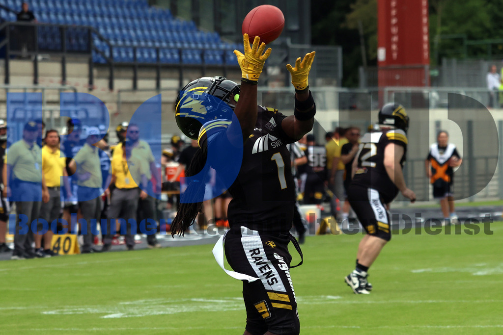 20250628-Krefeld-Ravens-vs-Langenfeld-Longhorns_Steinberg-IMG_6277 | GFL2: Krefeld Ravens vs Langenfeld Longhorns - Realisiert mit Pictrs.com