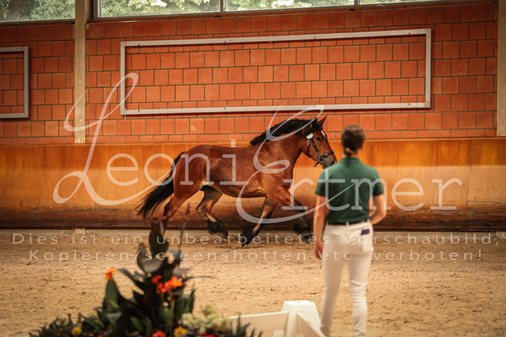 SaFL00140 | Leoni Ertmer Photography - Realisiert mit Pictrs.com