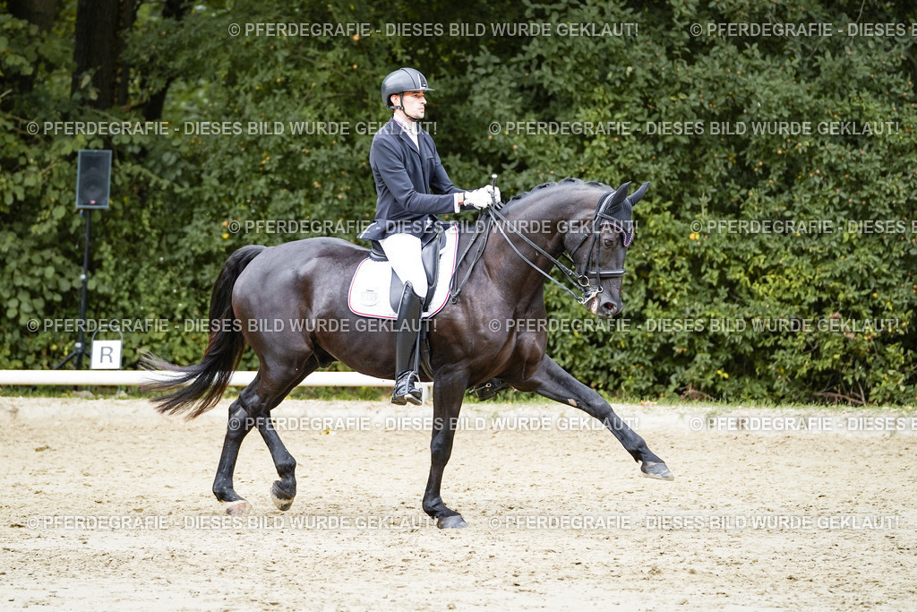 DSC05627 | Pferdegrafie