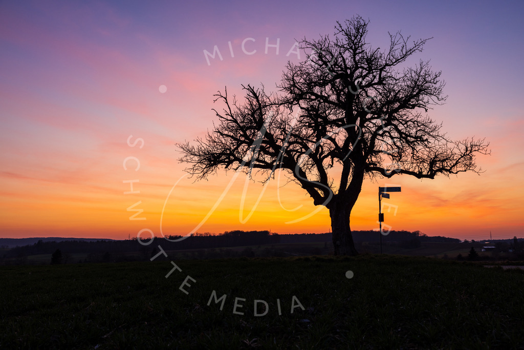 2023-02-28 Hemmingen Kaiserstein Sonnenuntergang - 004 | Schwotte Media - Realisiert mit Pictrs.com