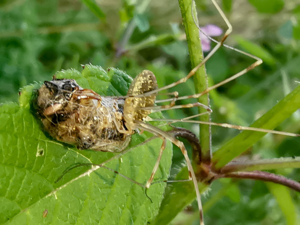 PSX_20230822_230630 | mtkfoto_ - Realisiert mit Pictrs.com