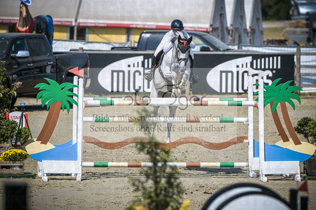 DOS_2267 | Entdecke hochwertige Reitturnierfotos von Foto Oger. Professionell, emotional und authentisch – jetzt Lieblingsmomente im Shop bestellen.Deutschlandweite Turnierfotografie. - Realisiert mit Pictrs.com