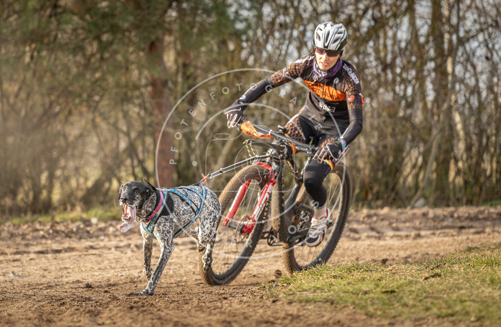 Pfotenfotografie_DV3A7472 | Hundefotografie, Tierfotograf, Pfotenfotografie, Fotoshooting Hund, Hunde Portrait, Hundesport, Hundeportraits, Heideshooting, Hunde, Sportfotograf, Hundefotograf, Turnierhundsport, THS,  - Realisiert mit Pictrs.com