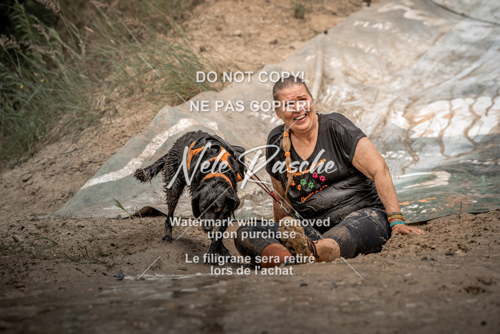 nelerasche_sa1300-1345_582 | nelerasche