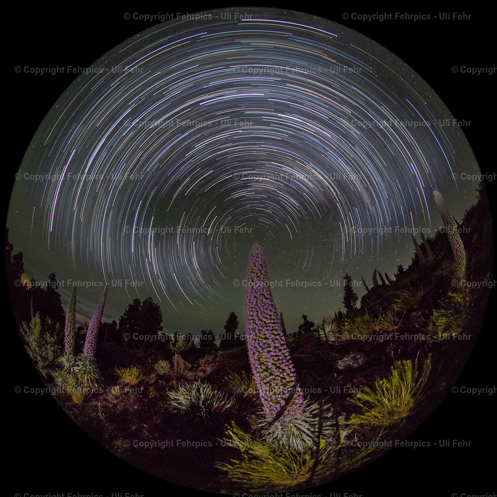 Tajinaste with startrails - La Palma | Fehrpics - hochwertige Fotoprodukte rund um Landschaft, Natur, Sterne & Milchstraße. - Realisiert mit Pictrs.com