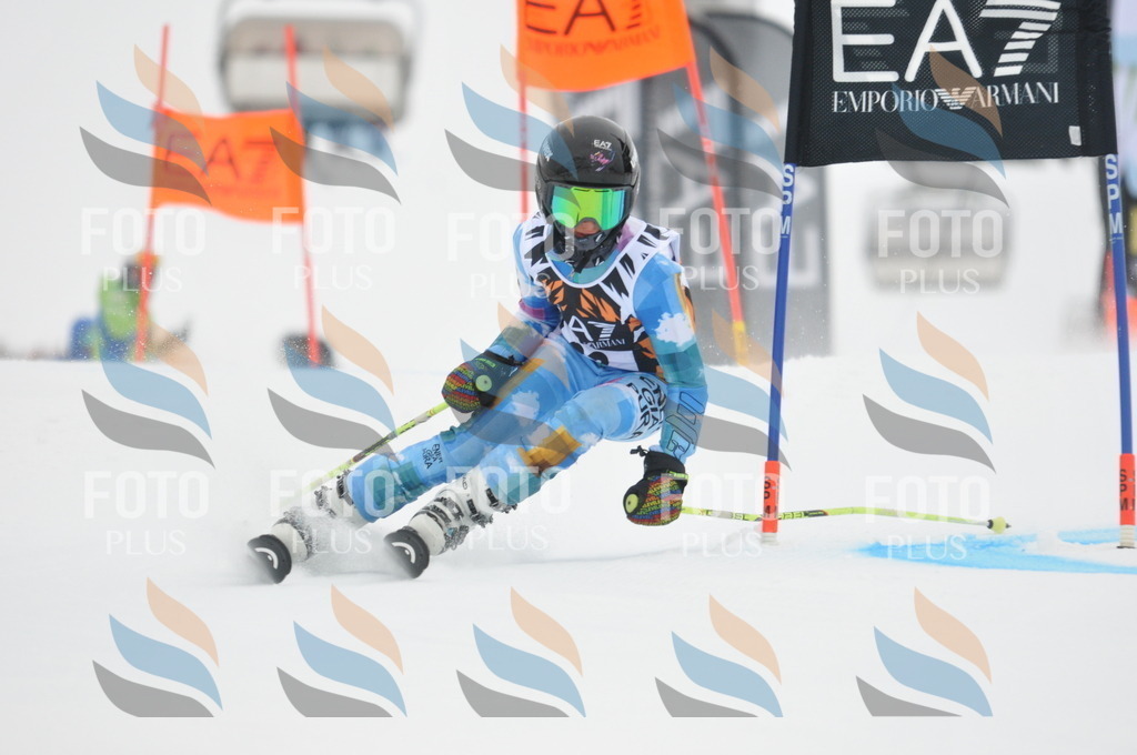 DSC_7802 | holidayphoto