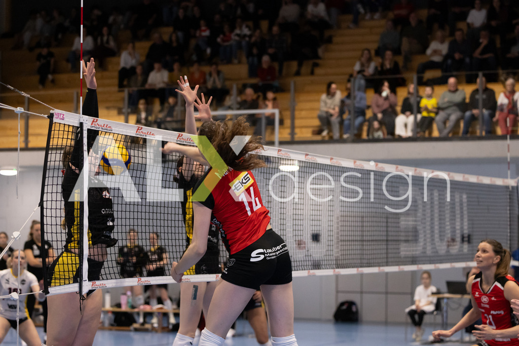 Volleyball I Frauen I Saison 2025-2026 I Volleyball NLA | Women I 1/4 Finals I  BIWI VFM - VC Kanti Schaffhausen I 01.03.2026 | 14 Josipa Marković (HR) (VC Kanti Schaffhausen) – Aussen - Realisiert mit Pictrs.com