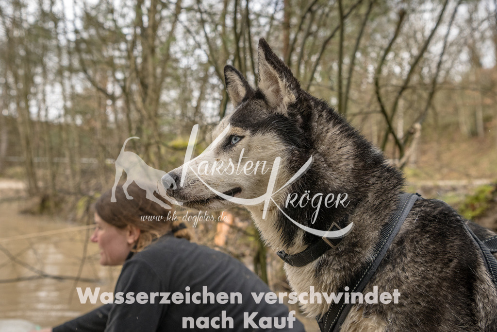 1346_ZZ90606-Bearbeitet | kk-dogfotos