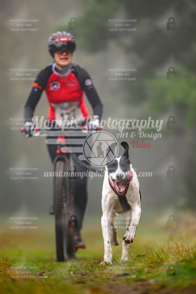 MompixPhotography_Bischwiller2025_Scooter-48 | mompixphotography