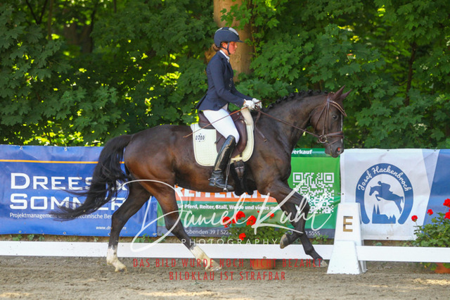 DKP42360 | Turniersportfotografie; Pferdefotografie; Dressurfotografie