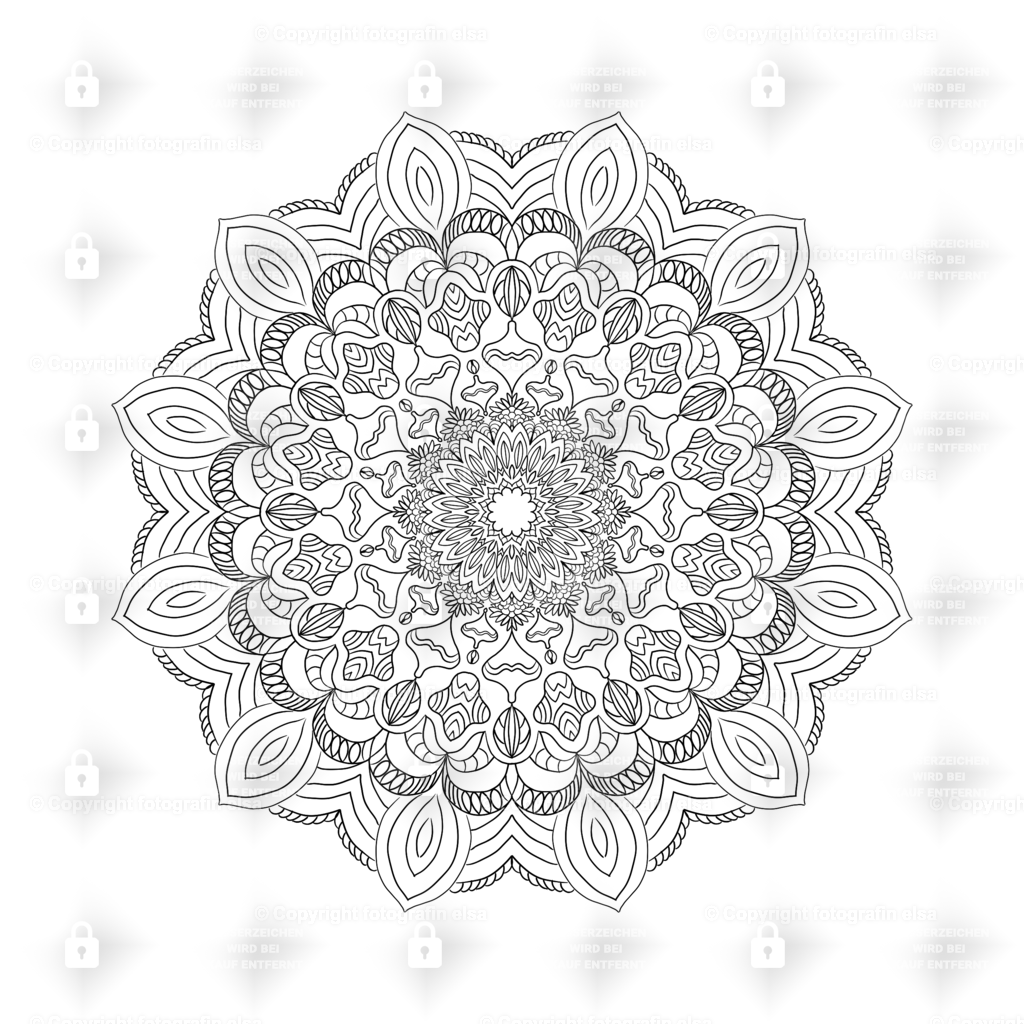 69Seite | fotografinelsa