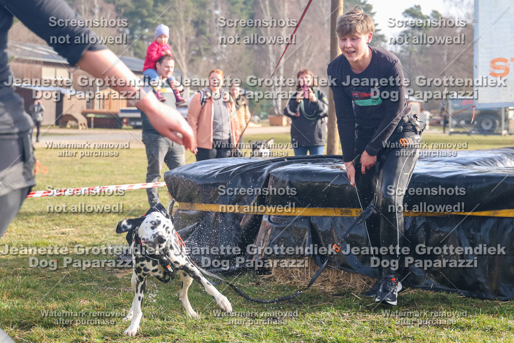 Dog Paparazzi - Strongdog North Mrz26-159 | Dog Paparazzi Jeanette Grottendiek Fotografie & Videografie - Realisiert mit Pictrs.com