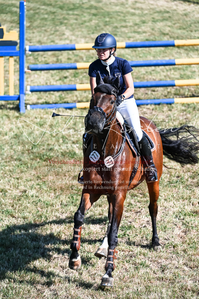 DSC_2114 | Pferde- und Turnierfotografie in Westsachsen. Pferdeportraits, Auftragszeichnungen und intuitive Kunst.