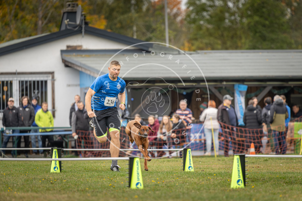 Pfotenfotografie_DV3A4897 | Hundefotografie, Tierfotograf, Pfotenfotografie, Fotoshooting Hund, Hunde Portrait, Hundesport, Hundeportraits, Heideshooting, Hunde, Sportfotograf, Hundefotograf, Turnierhundsport, THS,  - Realisiert mit Pictrs.com