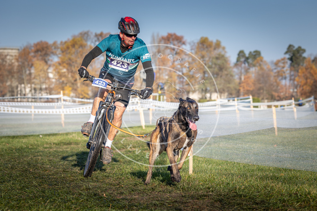 CaniXpix_0L8A4189 | Hundefotografie, Tierfotograf, Pfotenfotografie, Fotoshooting Hund, Hunde Portrait, Hundesport, Hundeportraits, Heideshooting, Hunde, Sportfotograf, Hundefotograf, Turnierhundsport, THS,  - Realisiert mit Pictrs.com