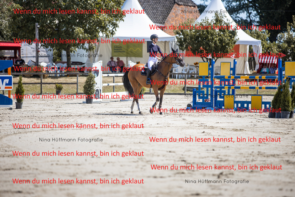 BK1A6577 | Turnierbilder Turnierfotos Nina Hüffmann Turnierfotografie Pferdefotografie Tierzeichnung Haustierzeichnung Pferdezeichnung Hundezeichnung Videograf  - Realisiert mit Pictrs.com
