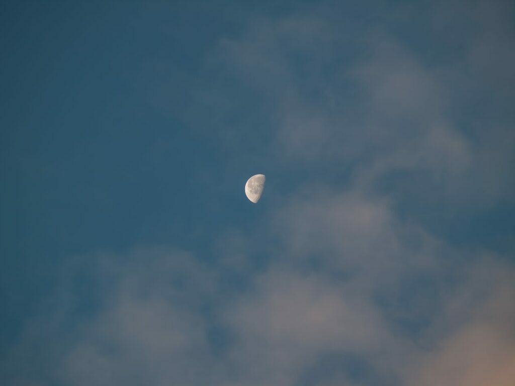 PSX_20221115_225011 | mtkfoto_ - Realisiert mit Pictrs.com