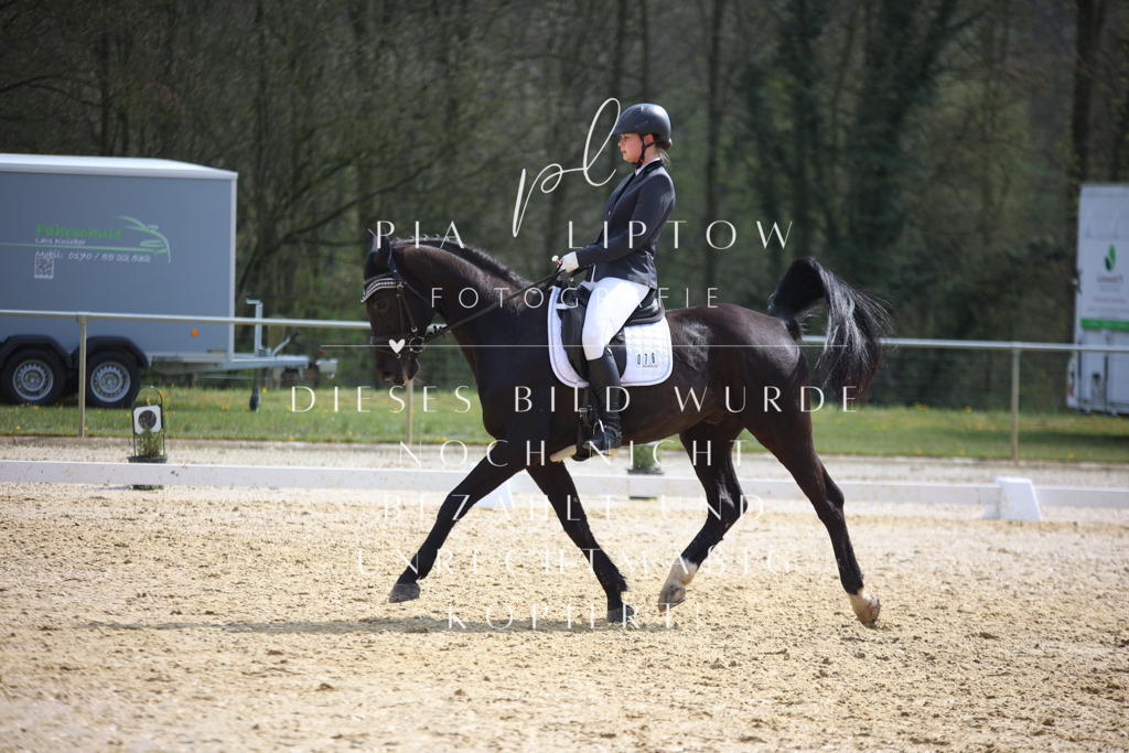 IMGT4765 | pl-fotografie