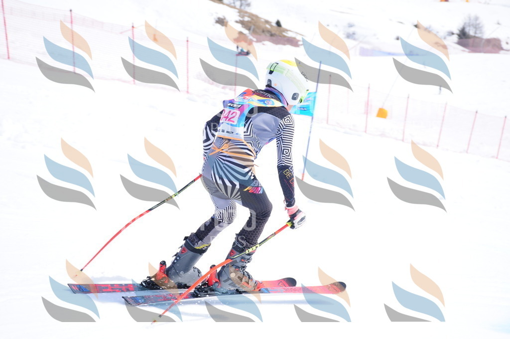 DSC_7054 | holidayphoto