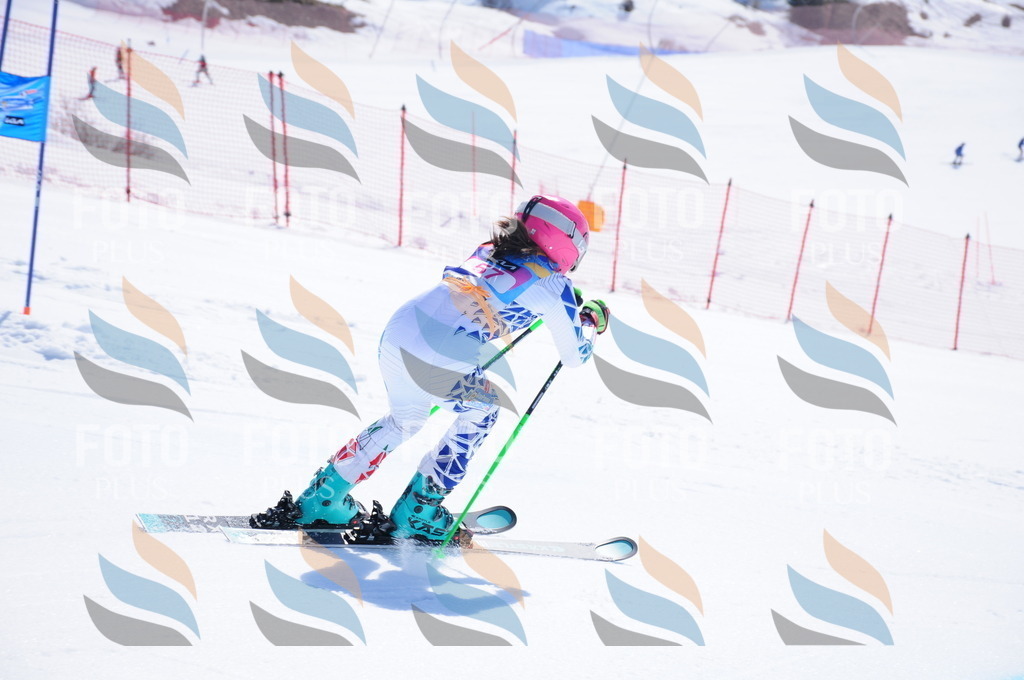 DSC_4273 | holidayphoto