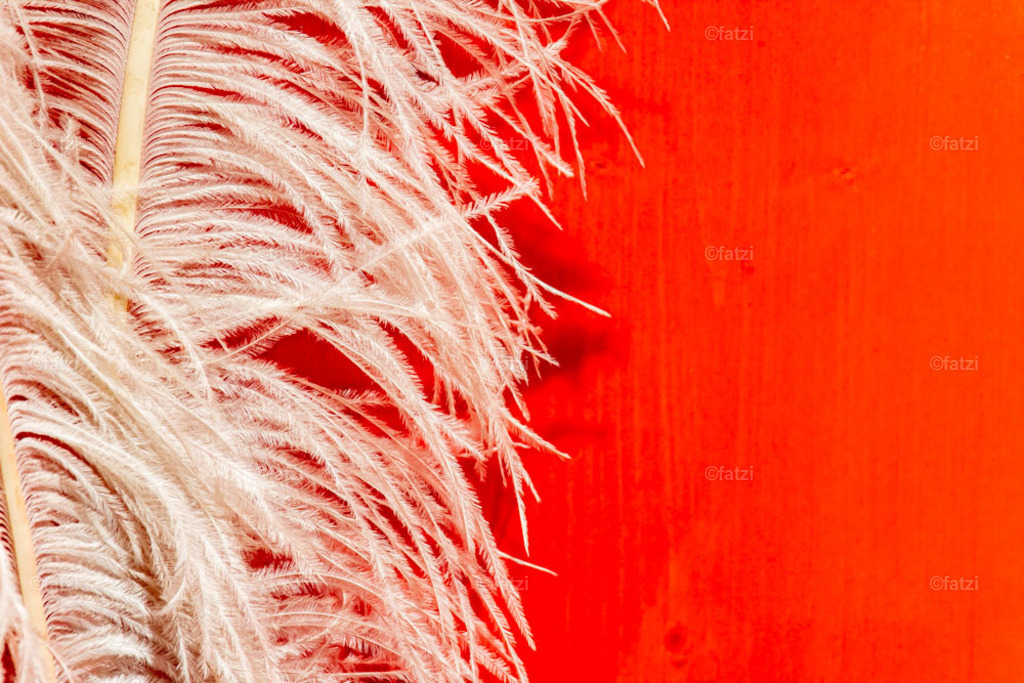 Bergbau-Museum Innen _fatzi_20230908-152455 | Fatzi Bilder-Archiv! 
Die Bilder sind für private Nutzung lizenzfrei. Die kommerzielle Nutzung ist möglich und erwünscht, jedoch bitte ich um vorherige Kontaktaufnahme per E-Mail (info@fatzi.at) oder unter +43 650 7828269 - Realisiert mit Pictrs.com