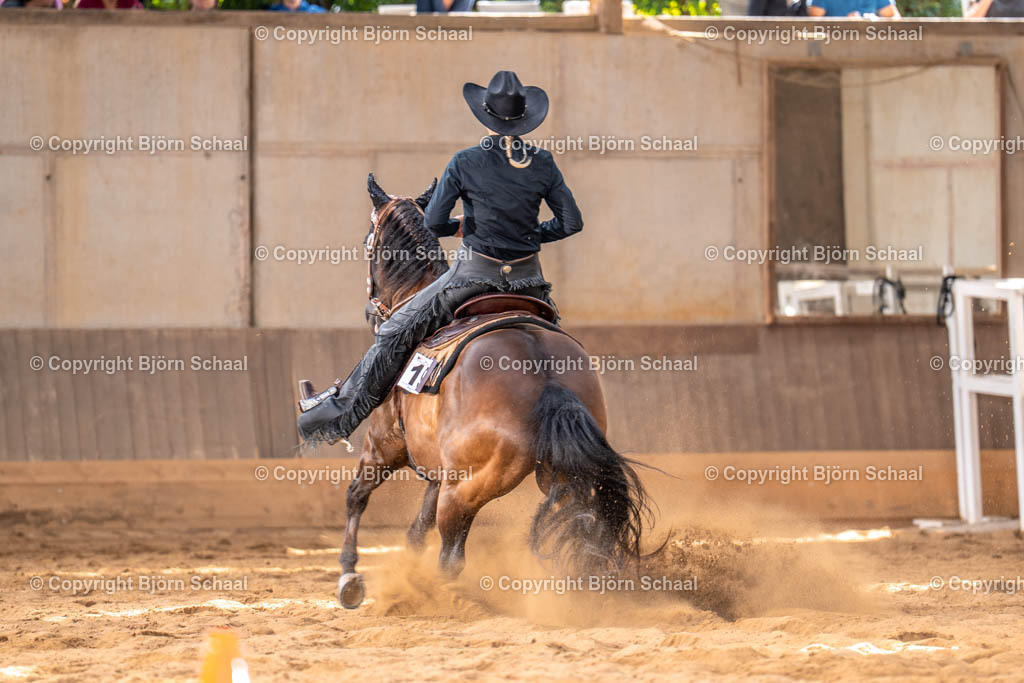 LMS00649 | BS-foto